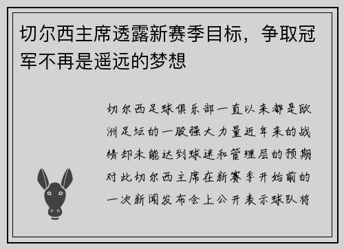 切尔西主席透露新赛季目标，争取冠军不再是遥远的梦想